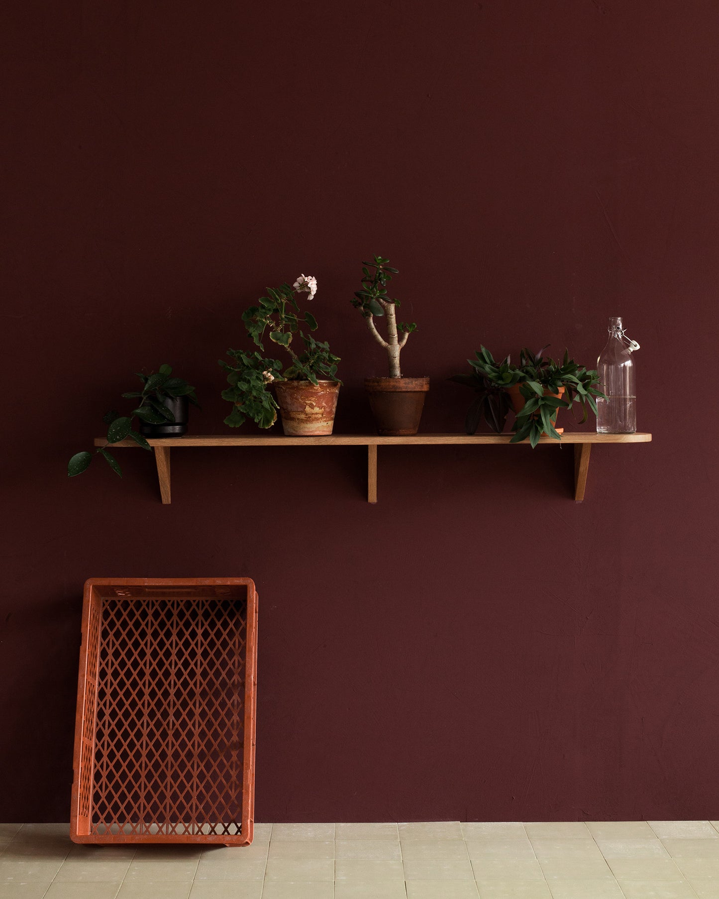 LIPPA Long Shelf